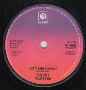 David Parton - Isn't She Lovely - 7 Inch