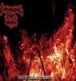 Convergence From Within - Only The Strong - Cd