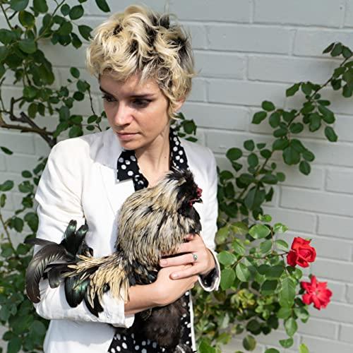 Gabi Garbutt And The Illuminations - Cockerel - Lp