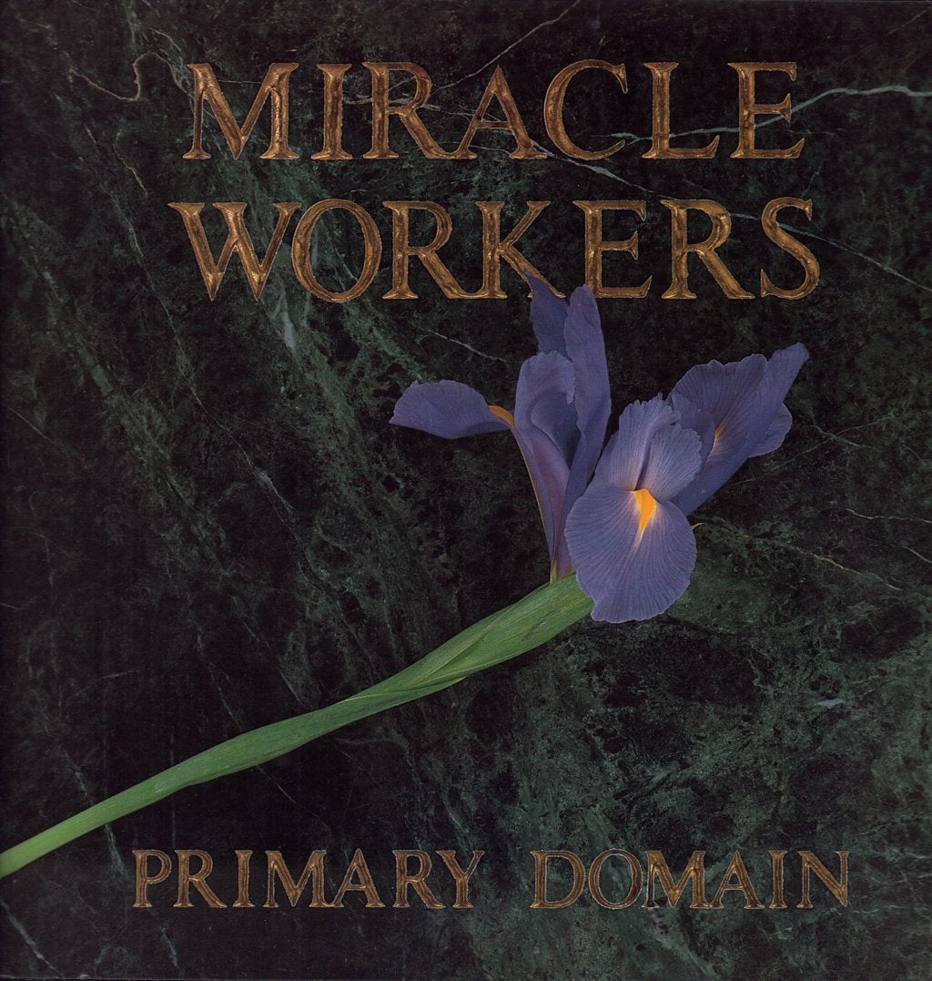 Miracle Workers - Primary Domain - Lp