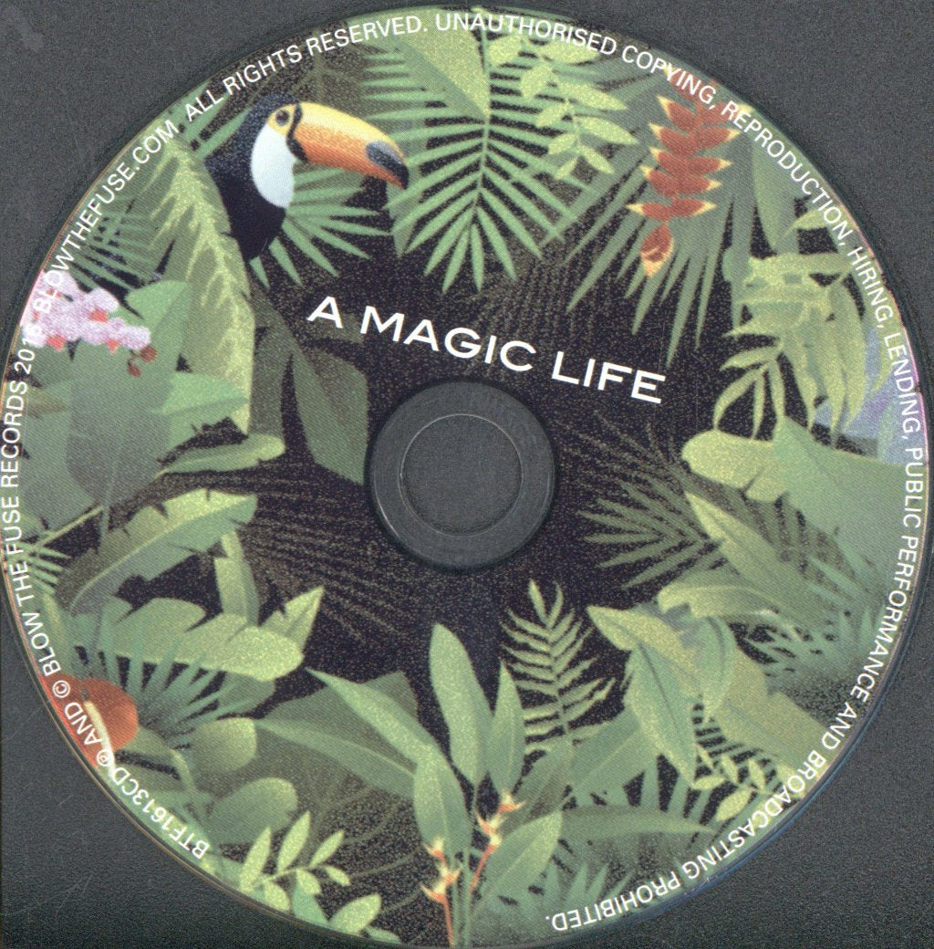 Alison Raynor Quintet - A Magic Life - Cd