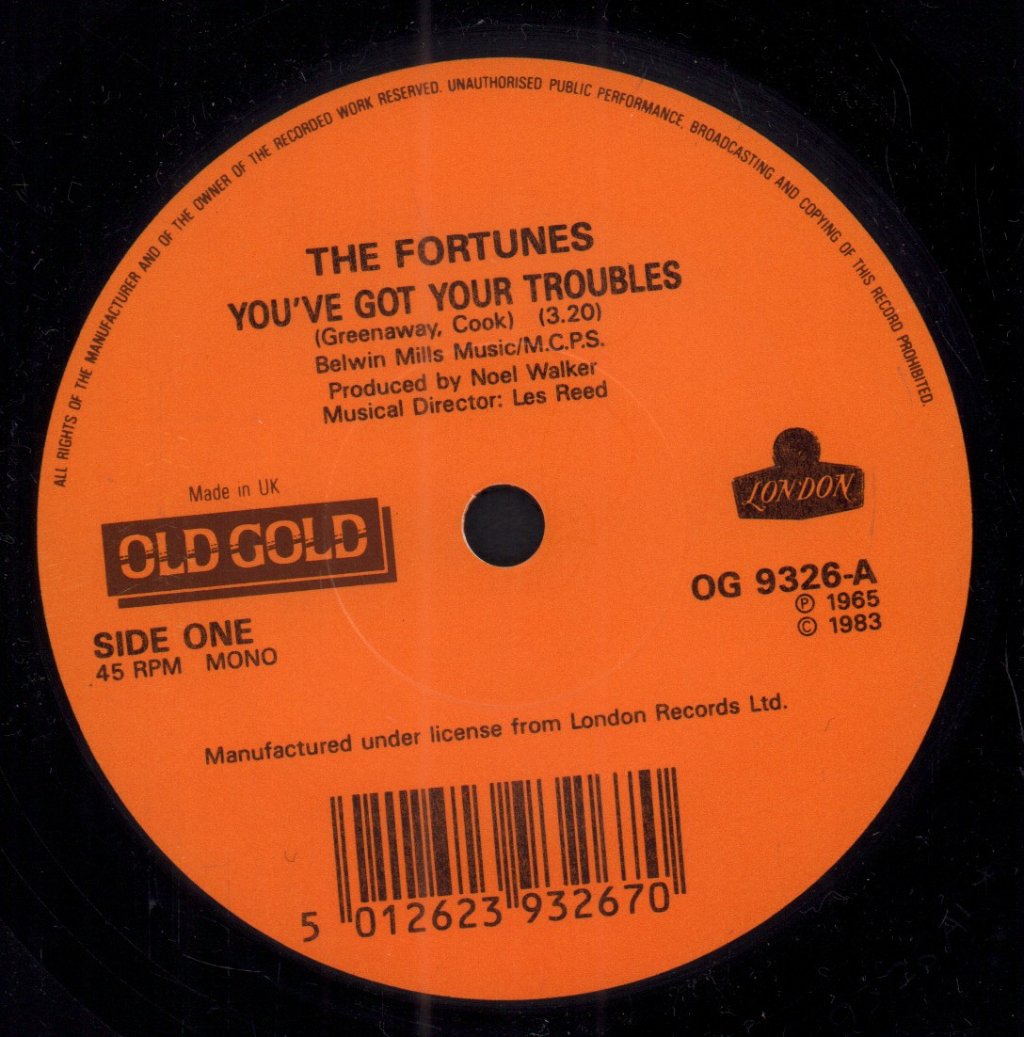 Fortunes - You've Got Your Troubles - 7 Inch