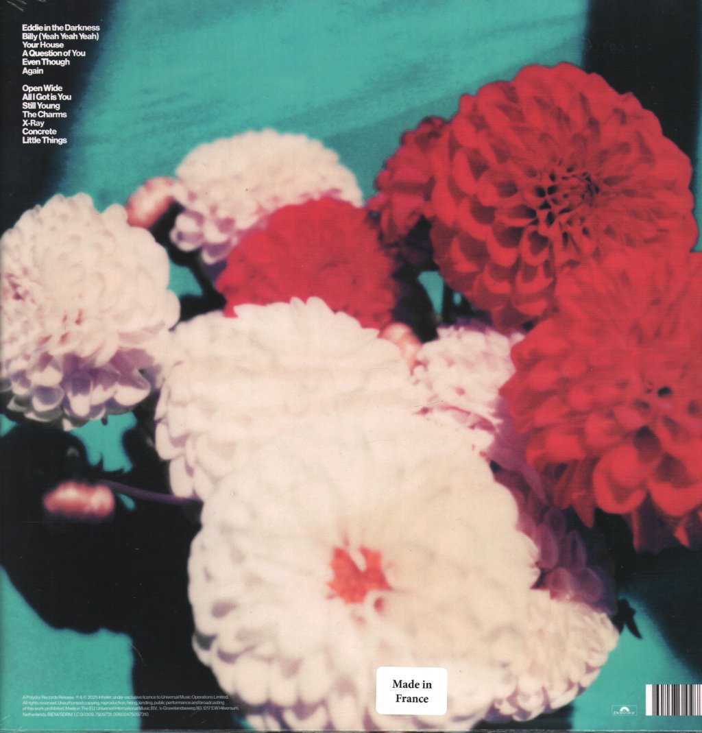 Inhaler - Open Wide - Lp