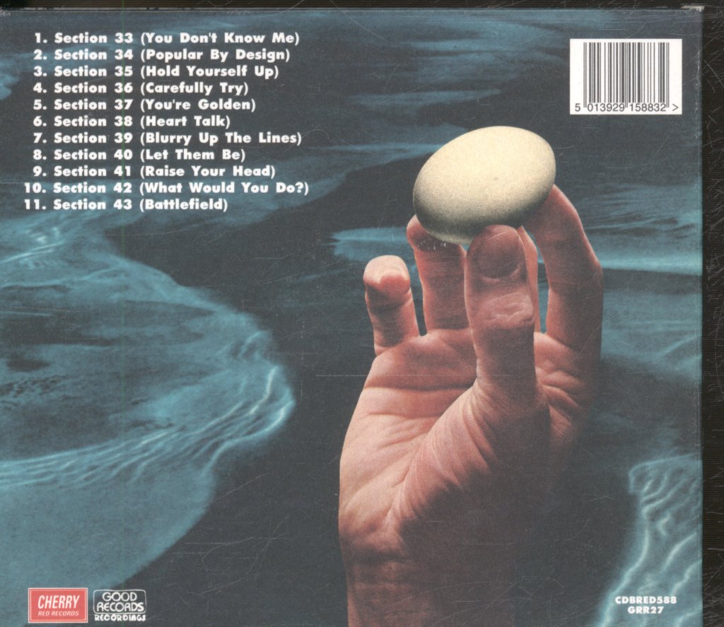 Polyphonic Spree - Yes, It's True. - Cd