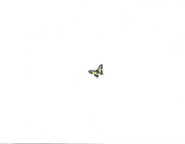Scarlet - Chemistry - Cd