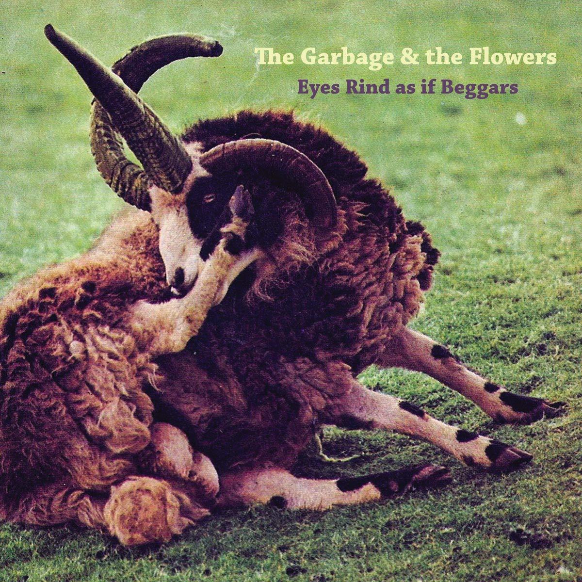 Garbage And The Flowers - Eyes Rind As If Beggars - Double Lp