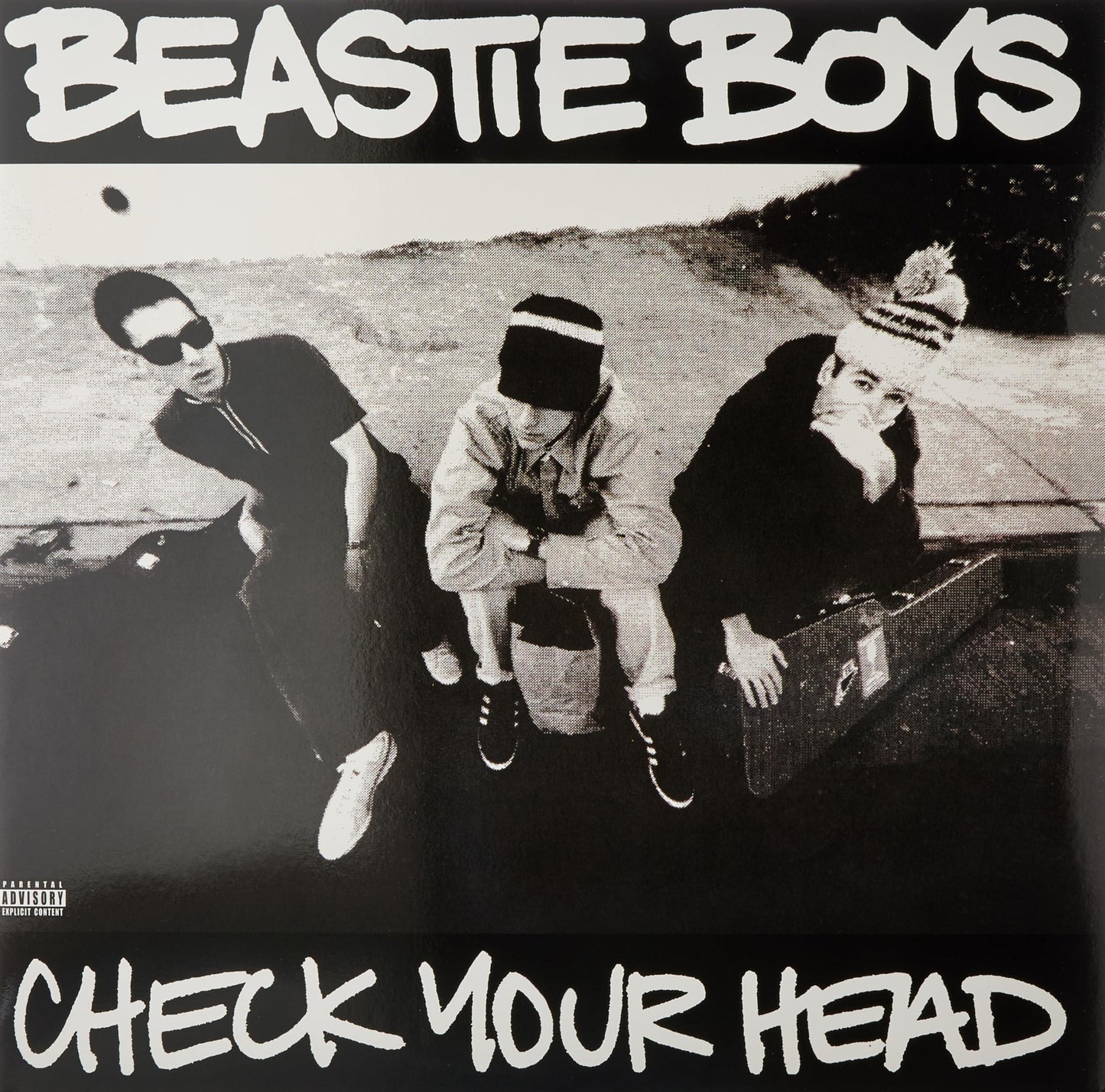 Beastie Boys - Check Your Head - Double Lp
