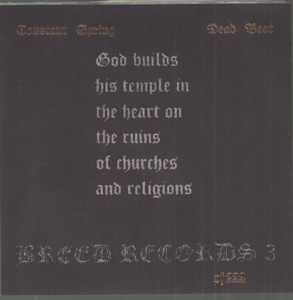 Constant Spring / Dead Beat - Believe In Their Ruins - 7 Inch