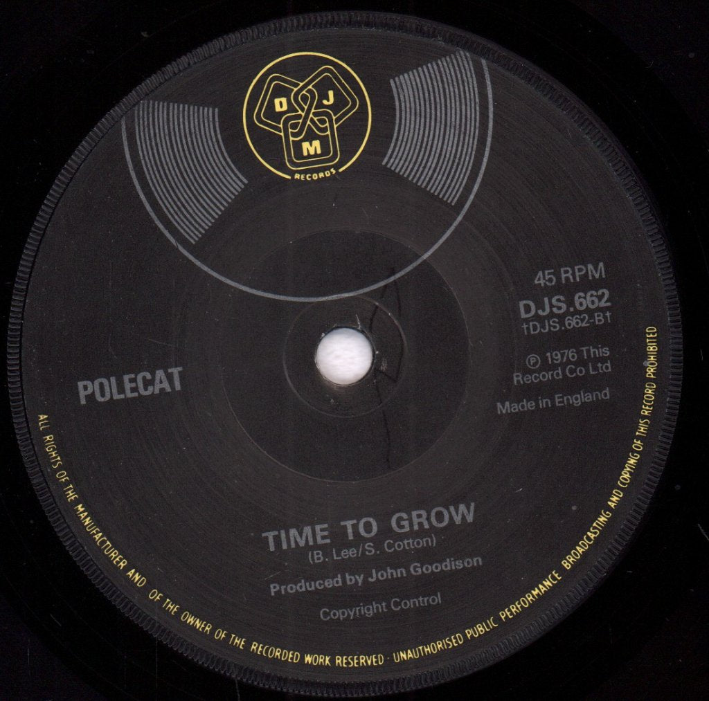 Polecat - Money Talkin' - 7 Inch