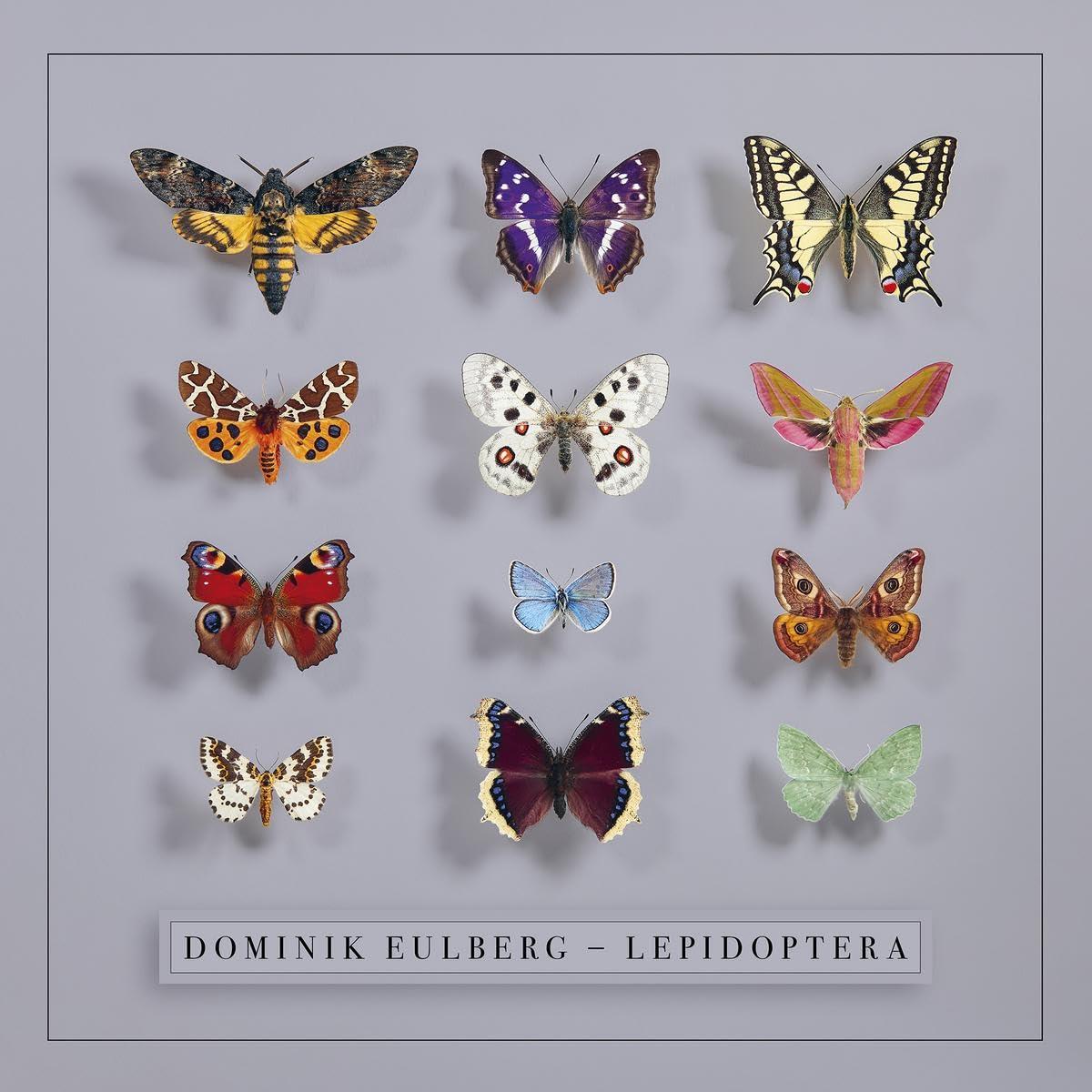 Dominik Eulberg - Lepidoptera - Double Lp