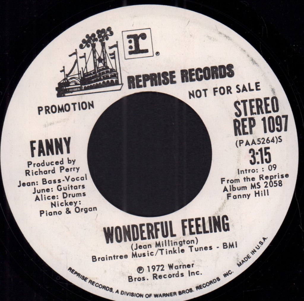 Fanny - Wonderful Feeling - 7 Inch