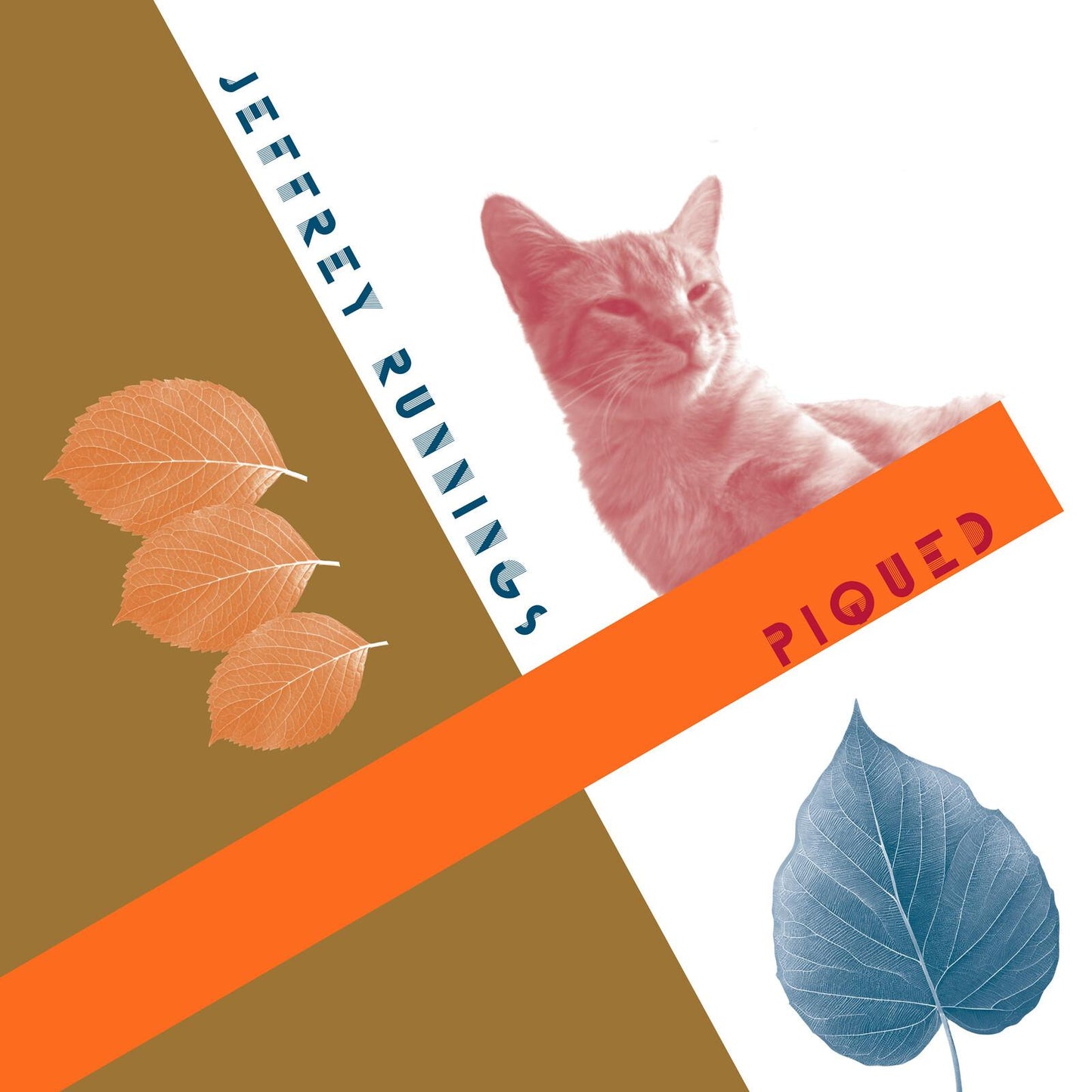 Jeffrey Runnings - Piqued - Cd