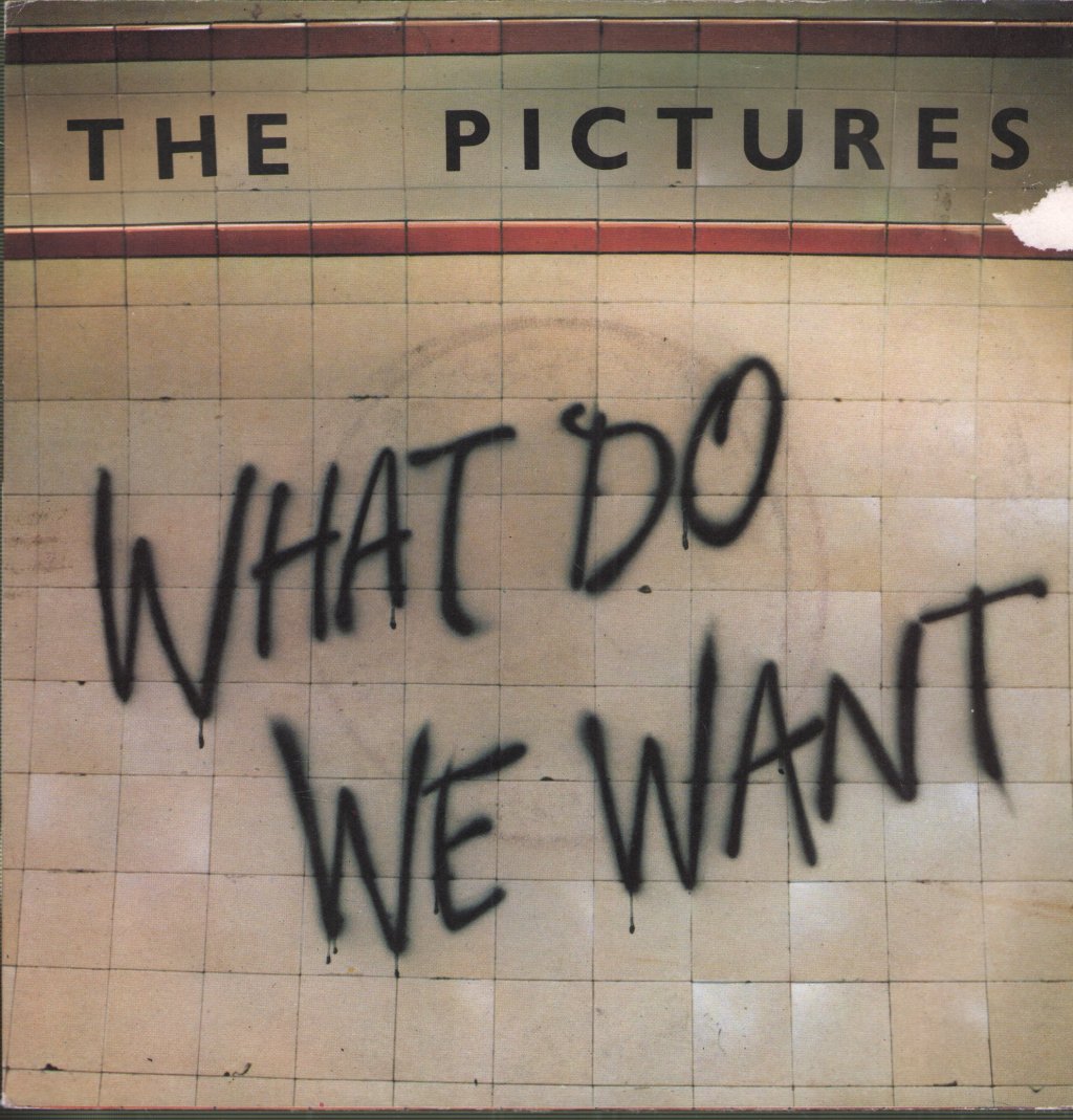 Pictures (New Wave) - What Do You Want - 7 Inch