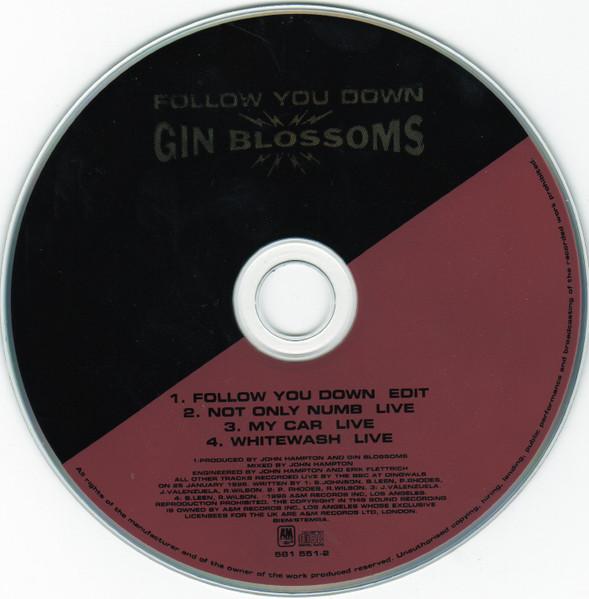 Gin Blossoms - Follow You Down - Cd