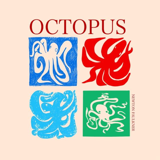 Newton Faulkner - Octopus - Cd
