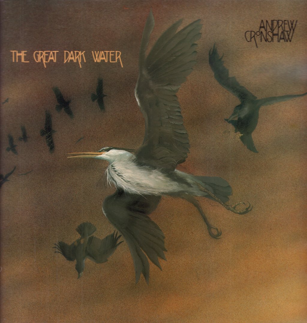 Andrew Cronshaw - Great Dark Water - Lp