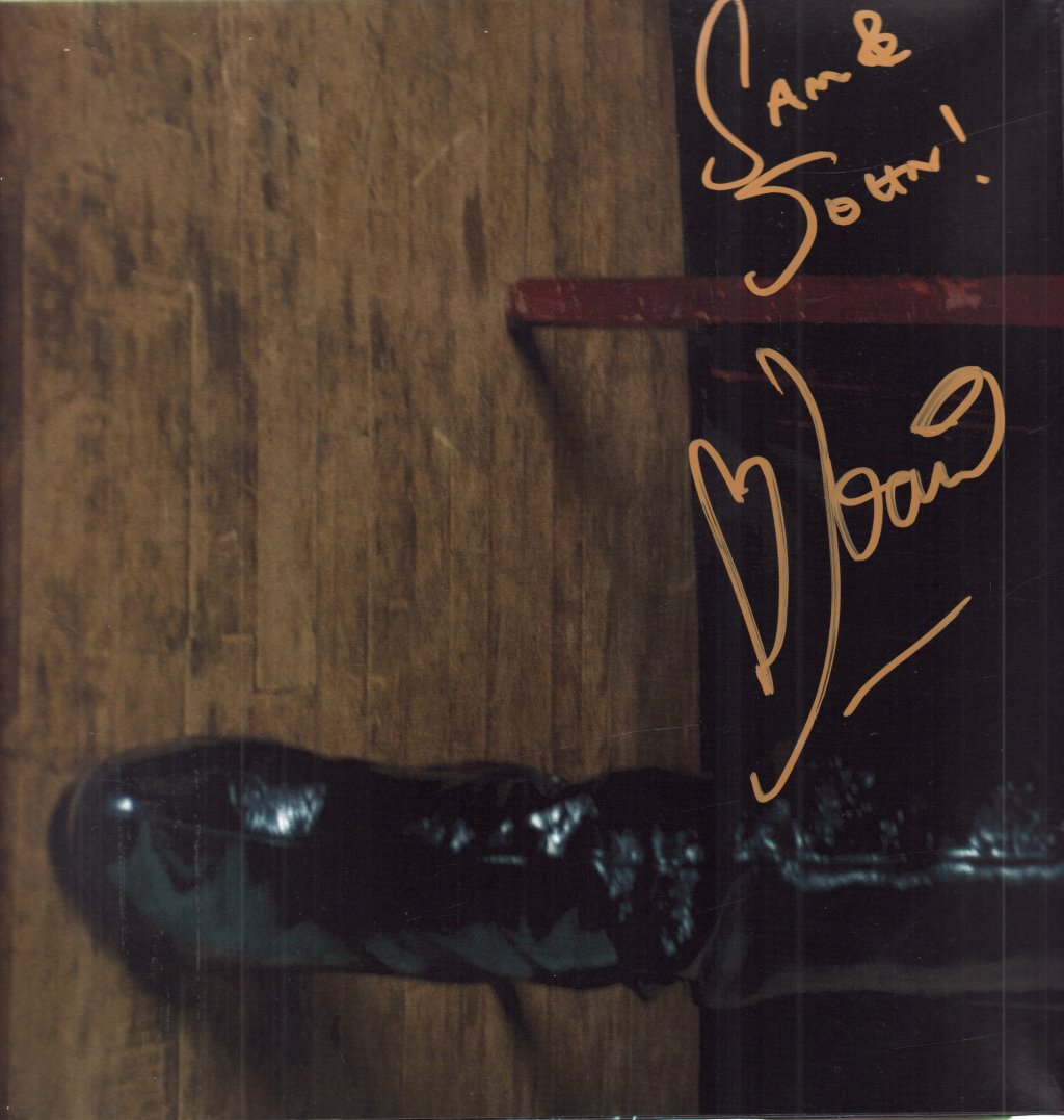 Joan As Police Woman - Damned Devotion - Lp