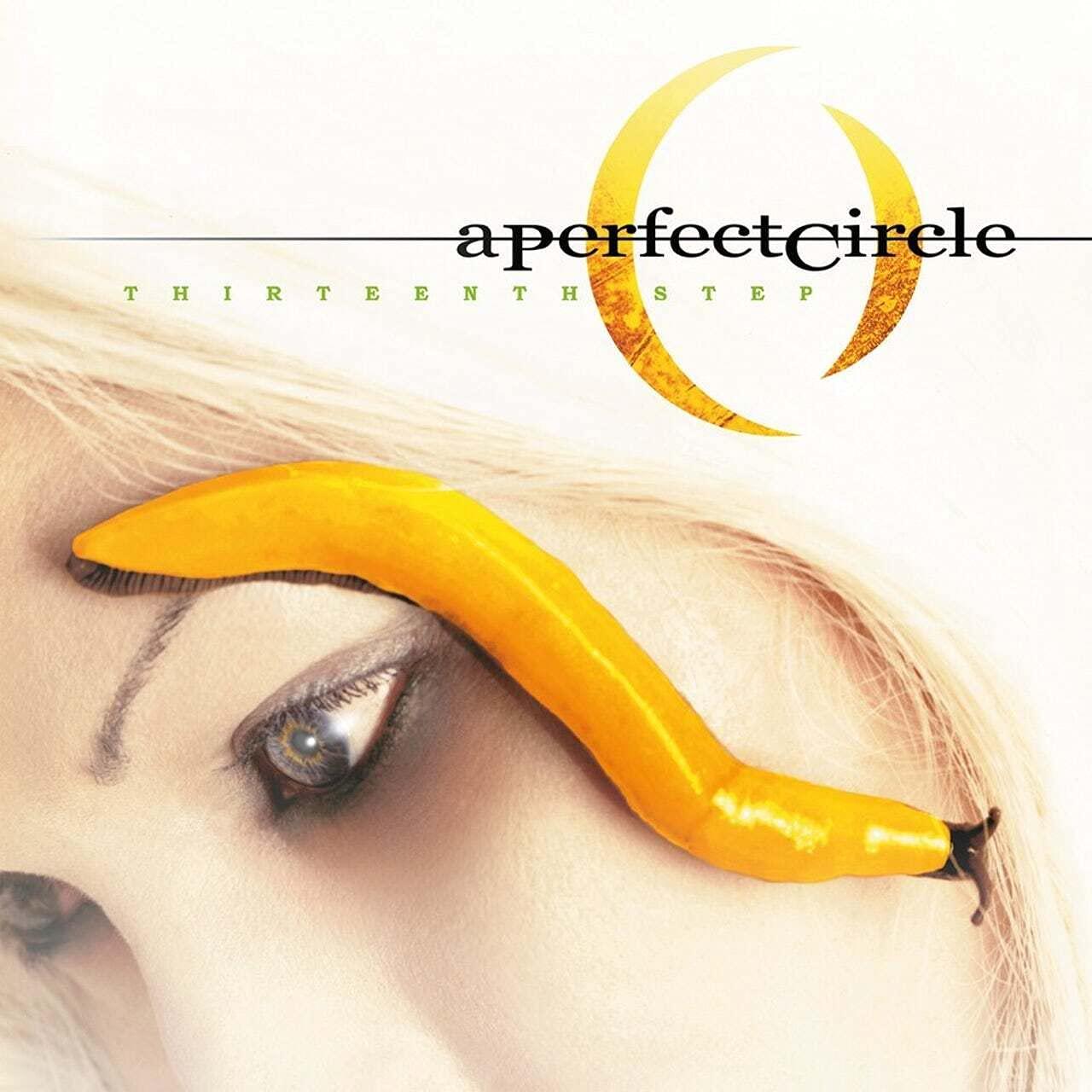 A Perfect Circle - Thirteenth Step - Double Lp