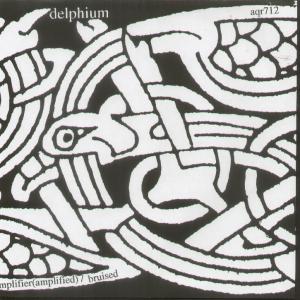 Delphium/Big City Orchestra - Amplifier Amplified Bruised/Fire As Solution - 7 Inch