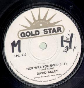 David Bailey - Nor Will You Ever - 7 Inch