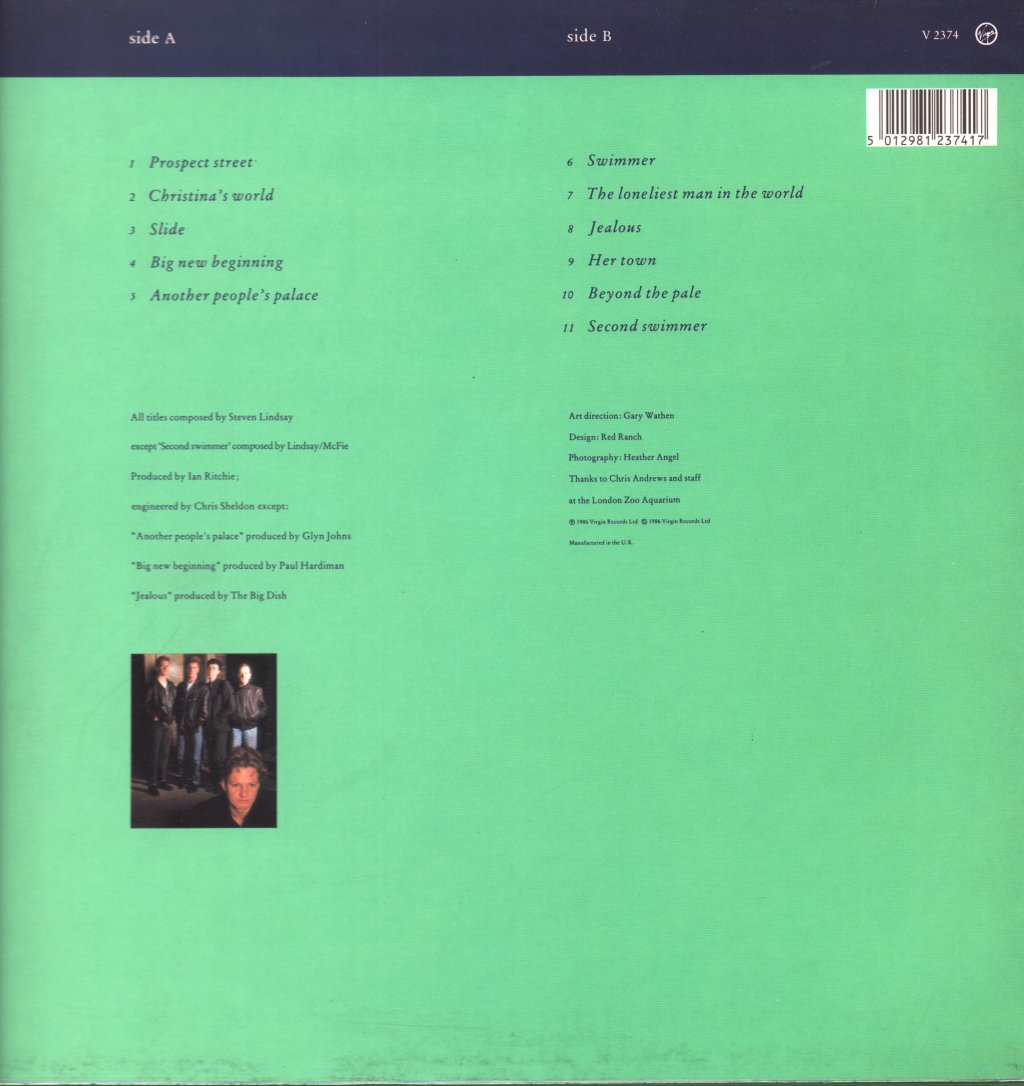 Big Dish - Swimmer - Lp