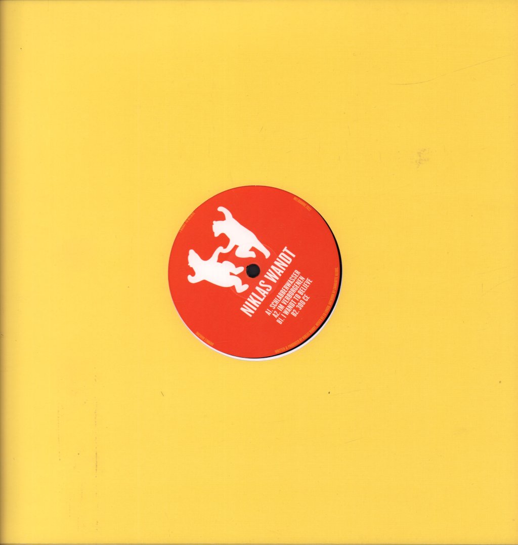 Niklas Wandt - I Wandt To Believe - 12 Inch