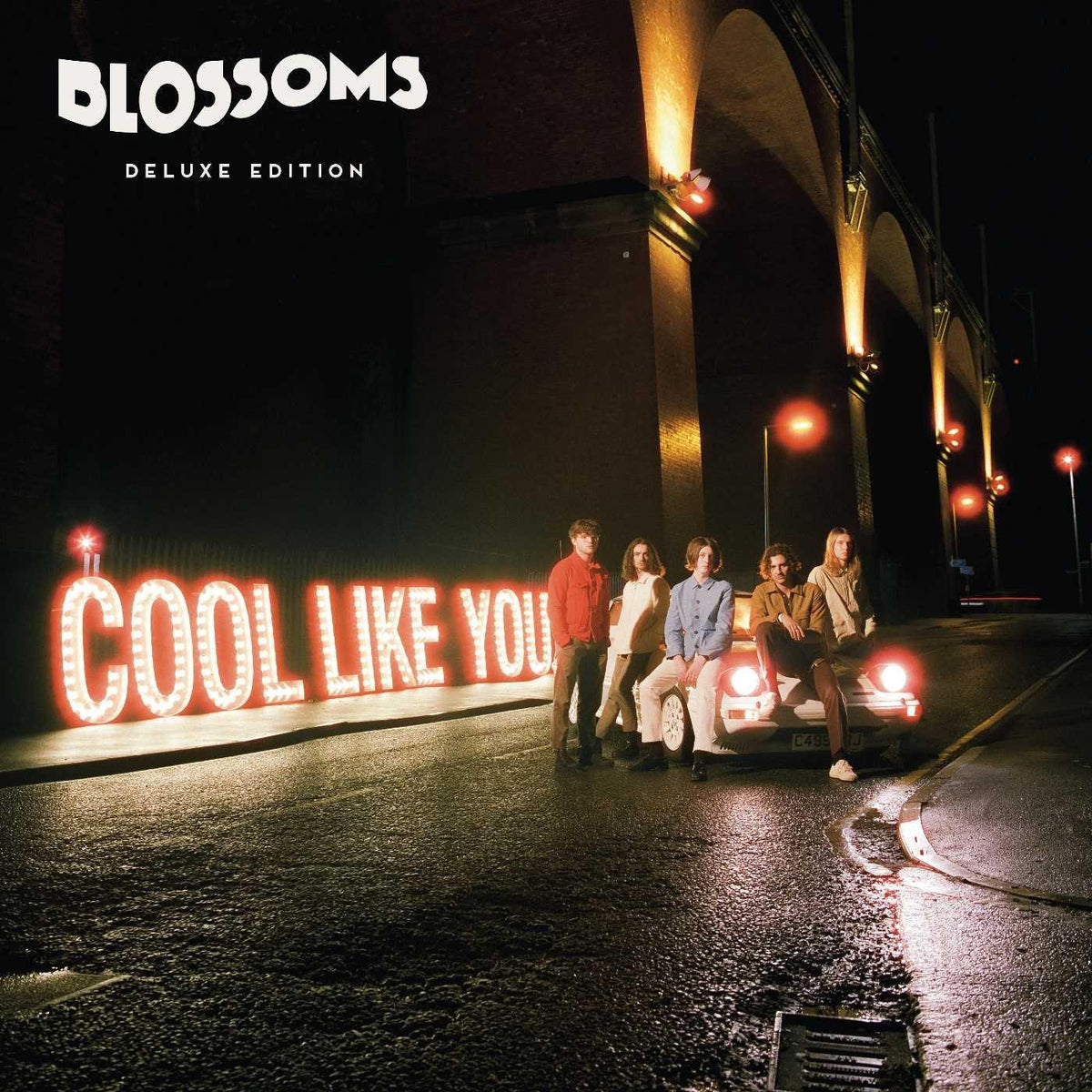 Blossoms - Cool Like You - Cd