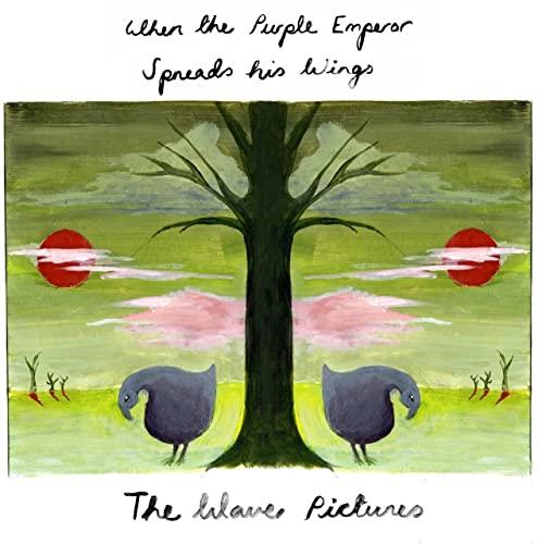 Wave Pictures - When the Purple Emperor Spreads His Wings (Purple & Pink Sparkle Vinyl) - Double Lp