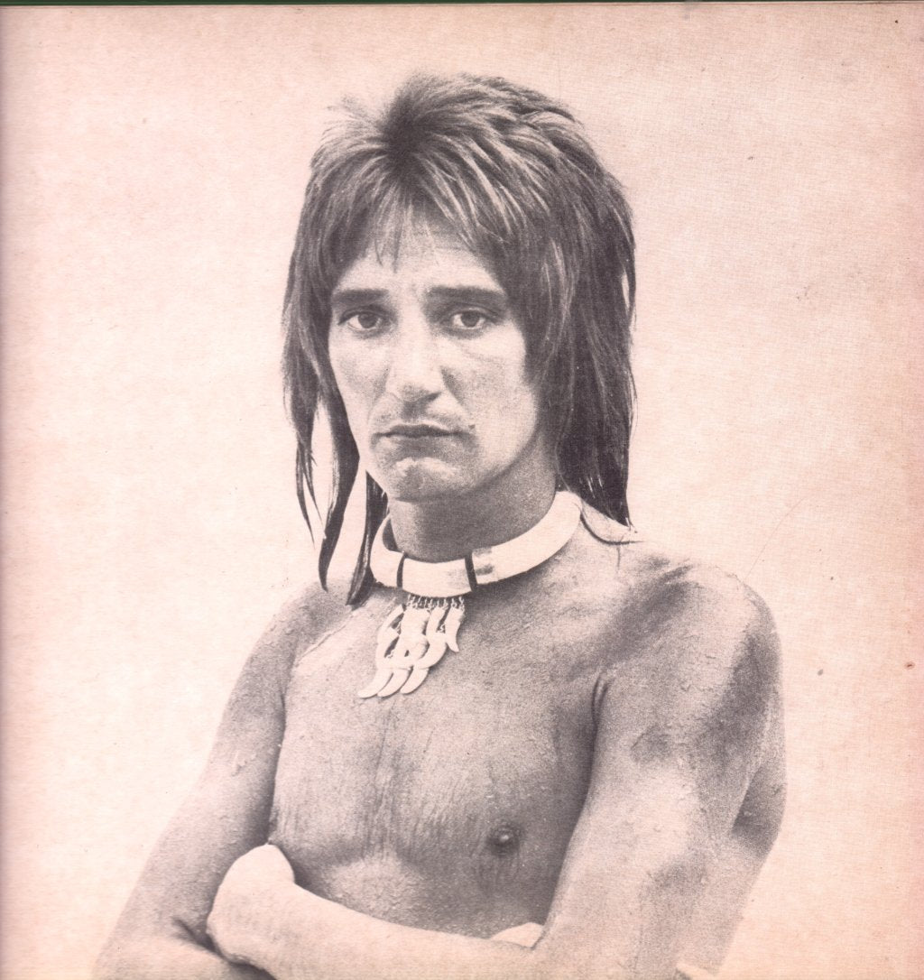 Rod Stewart - A Night On The Town - Lp
