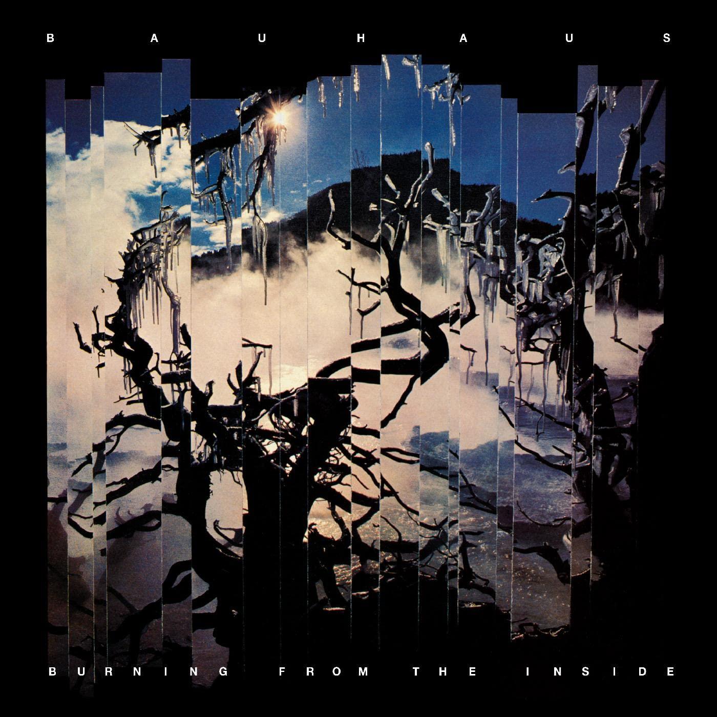 Bauhaus - Burning From the Inside - Lp