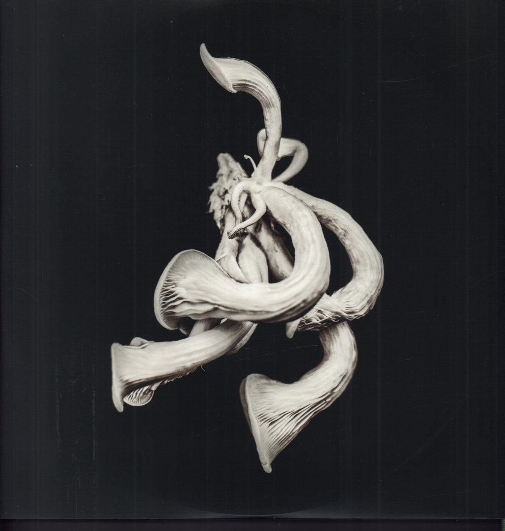 Pixies - Beneath the Eyrie - Lp