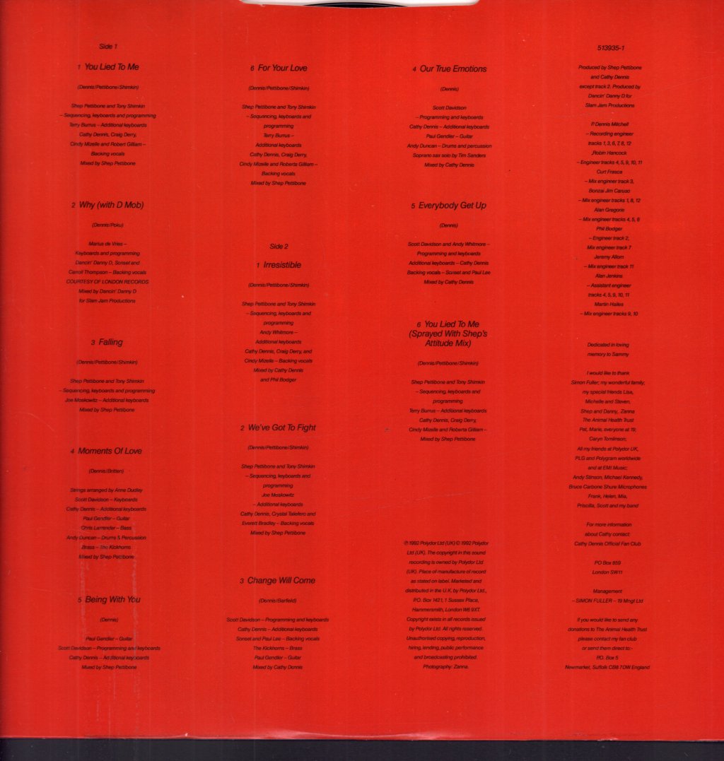 Cathy Dennis - Into The Skyline - Lp
