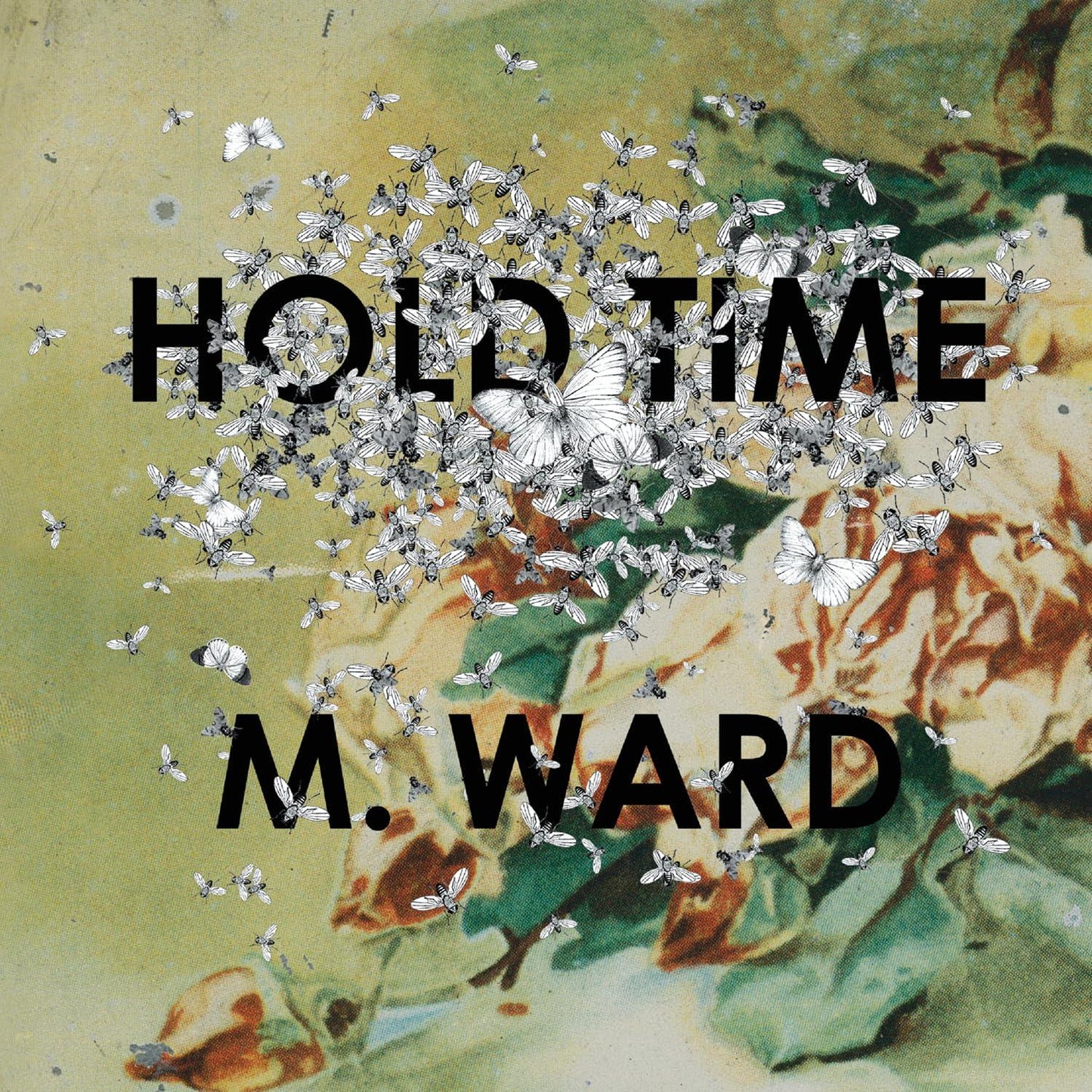 M. Ward - Hold Time (Ogv) - Lp
