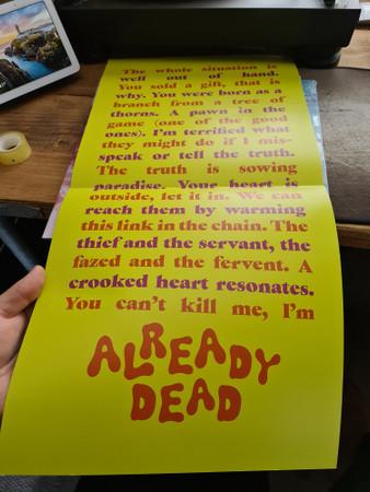 Willy Mason - Already Dead - Lp