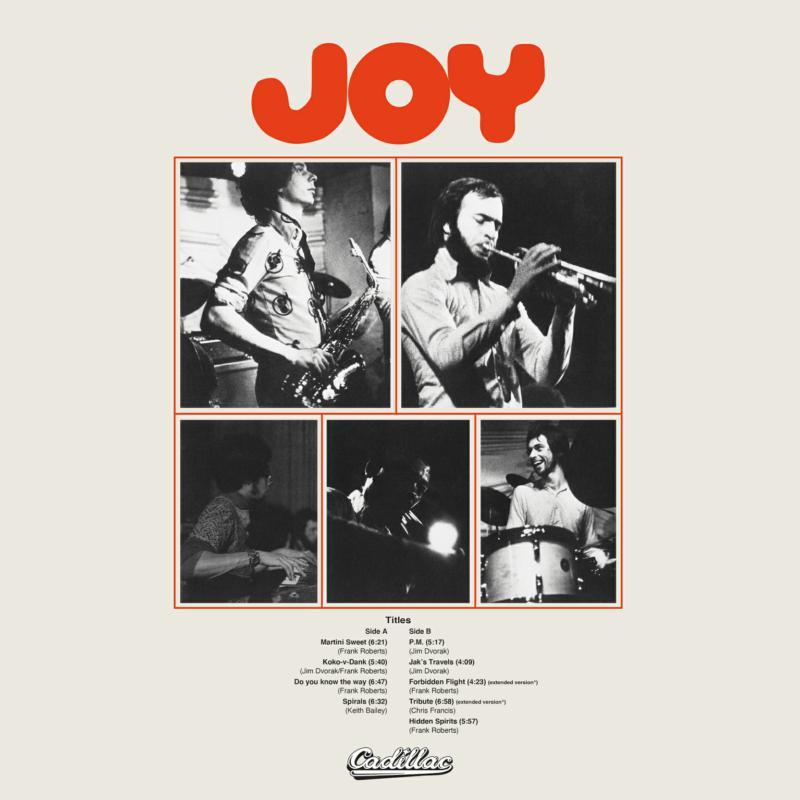 Joy (Late 70'S/Early 80'S Group) - Joy - Lp