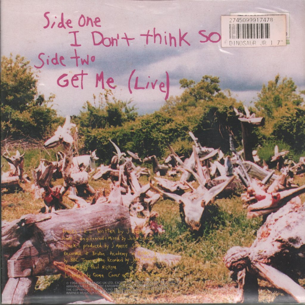 Dinosaur Jr - I Don't Think So - 7 Inch