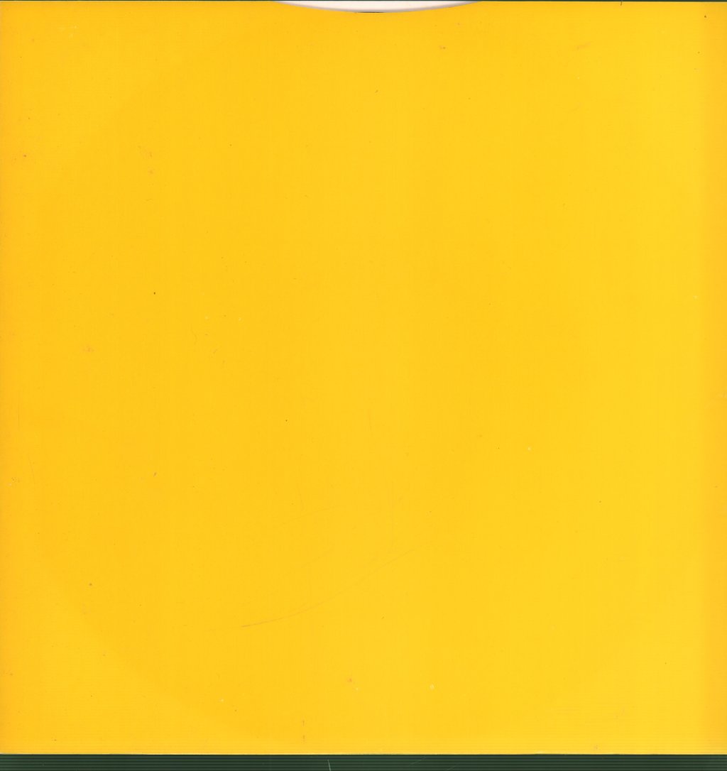 Paul McCartney - Flowers In The Dirt - Lp