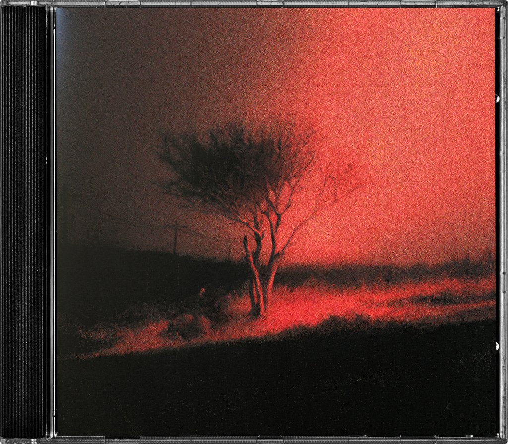 Joji - Piss In The Wind - Cd