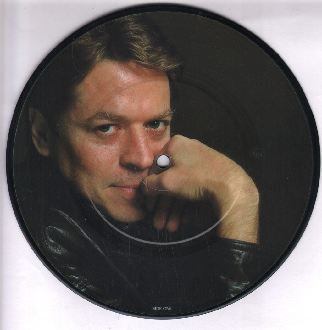 Robert Palmer - Some Guys Have All The Luck - 7 Inch