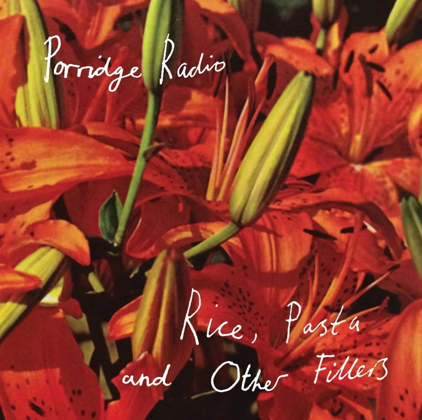 Porridge Radio - Rice, Pasta and Other Fillers - Cd