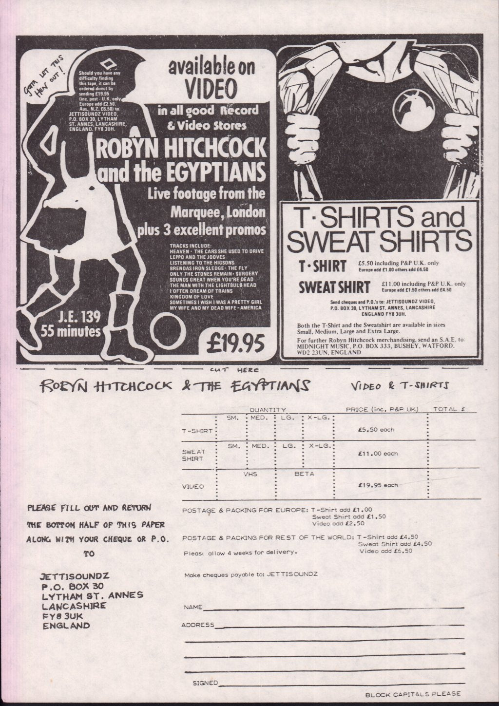 Robyn Hitchcock - Groovy Decoy - Lp