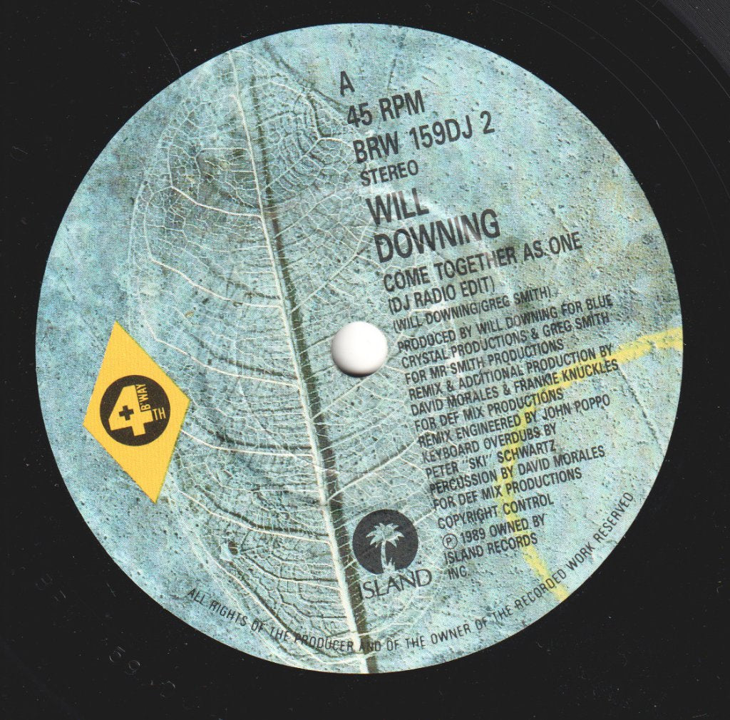 Will Downing - Come Together As One - 7 Inch