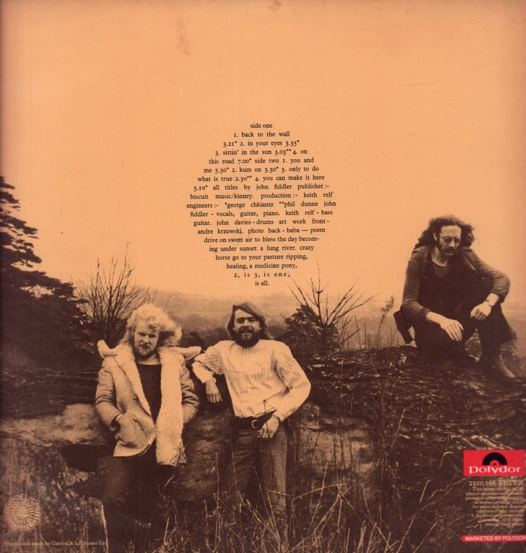 Medicine Head - Dark Side Of The Moon - Lp