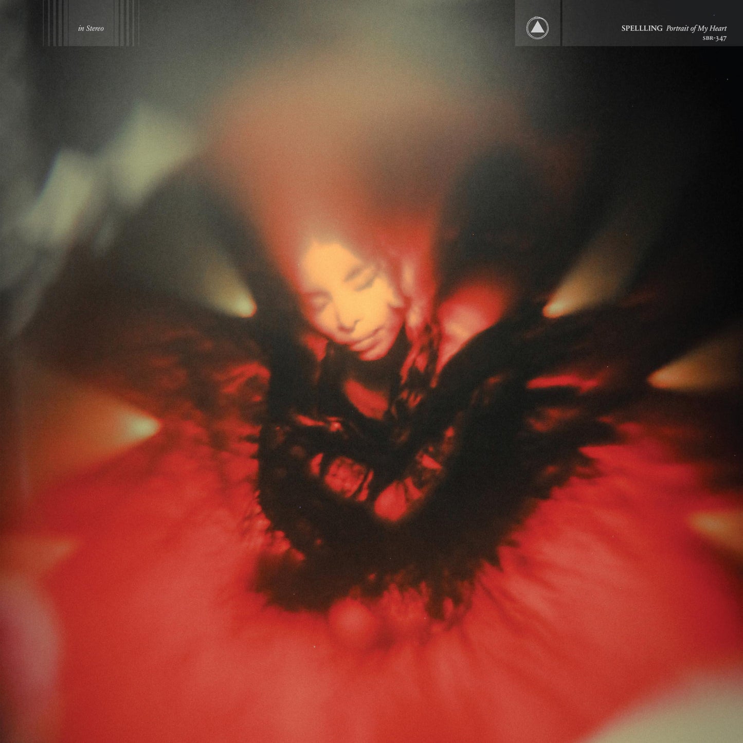 Spelling - Portrait of My Heart - Cd