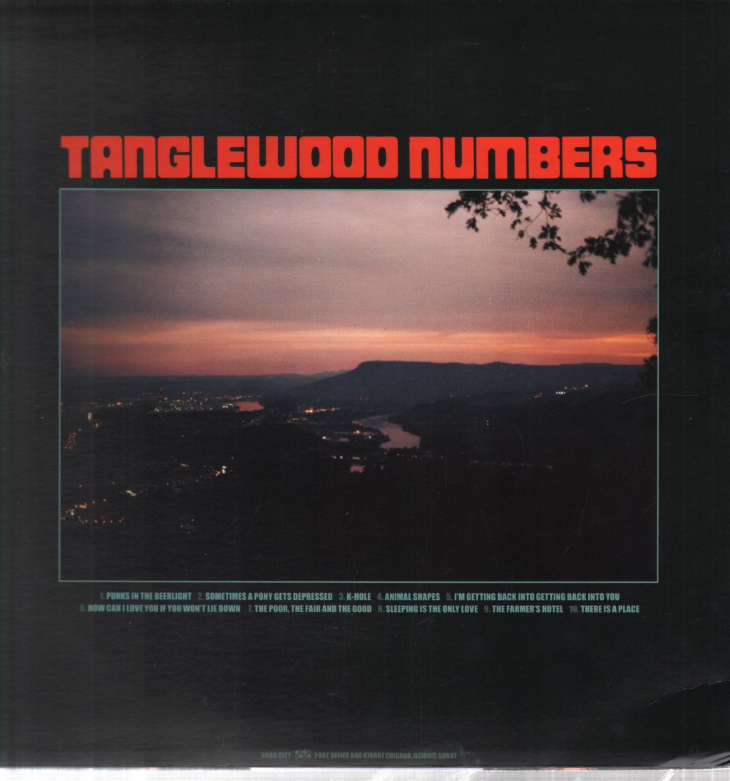 Silver Jews - Tanglewood Numbers - Lp