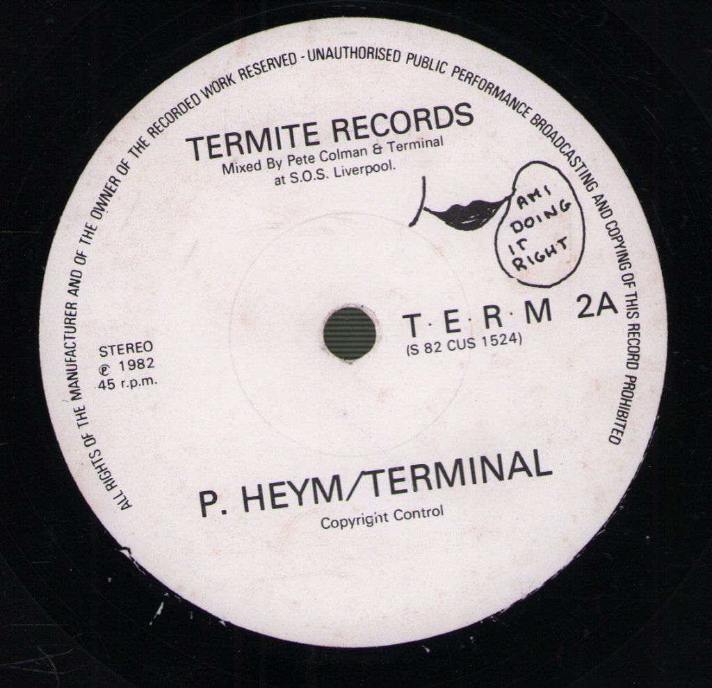 Terminal - Am I Doing It Right - 7 Inch