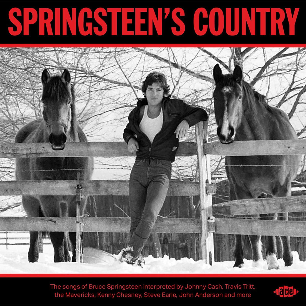 Various Artists - Springsteen's Country - Cd