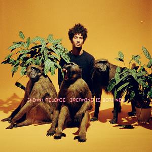 Skinny Pelembe - Dreaming Is Dead Now - Lp