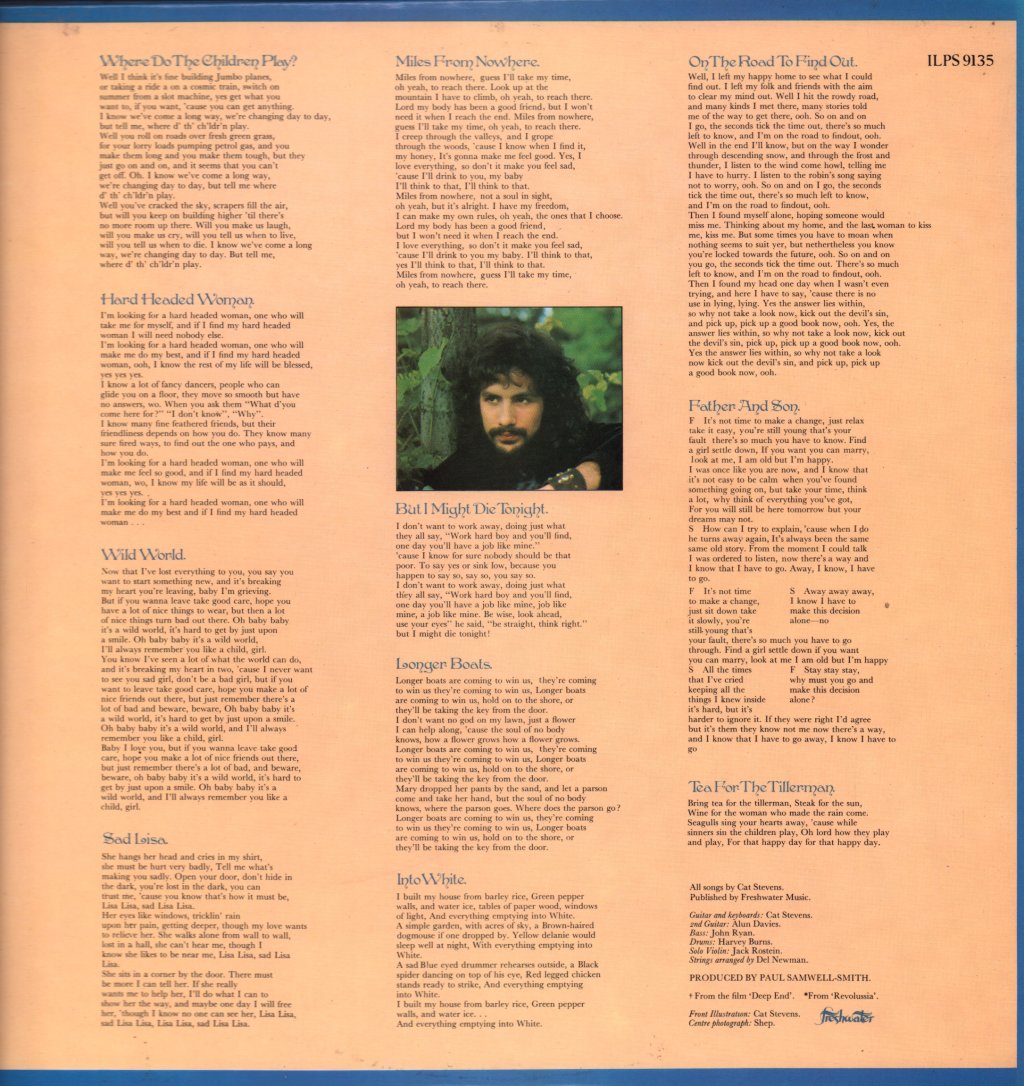 Cat Stevens - Tea For The Tillerman - Lp