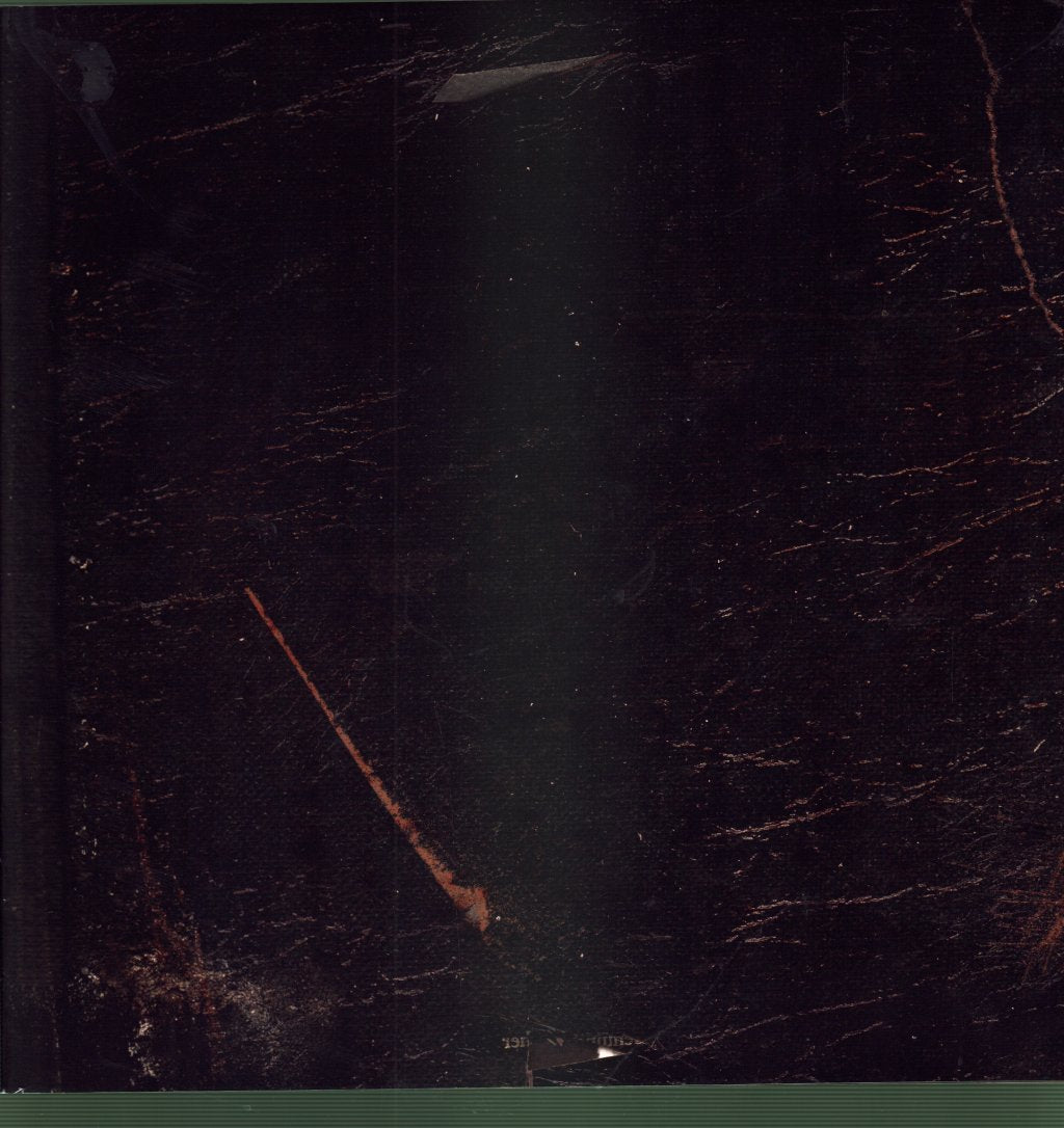 Vein.Fm - This World Is Going To Ruin You - Lp
